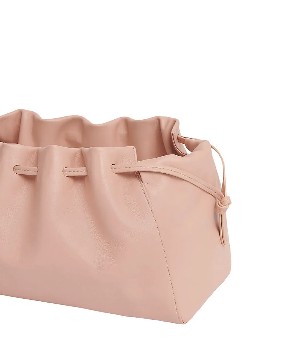 Bloom Bag in Ballet